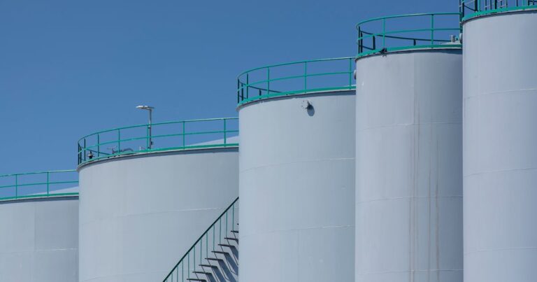 strategic petroleum reserve