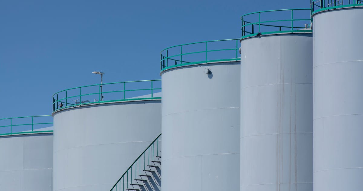 strategic petroleum reserve